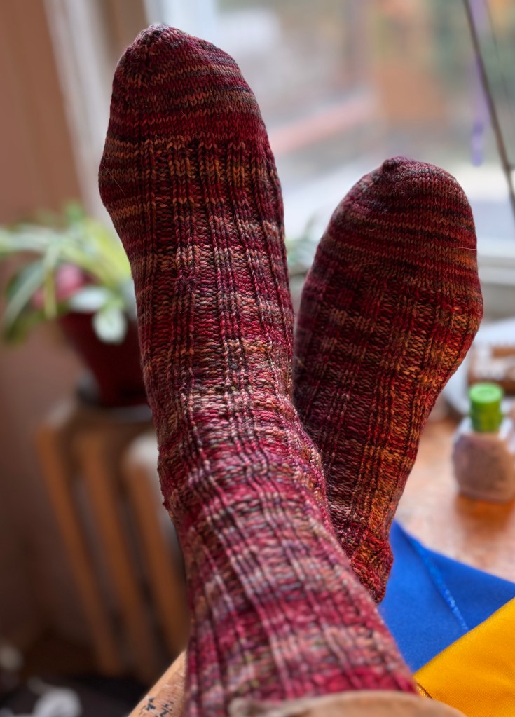 Lion's Mane Socks