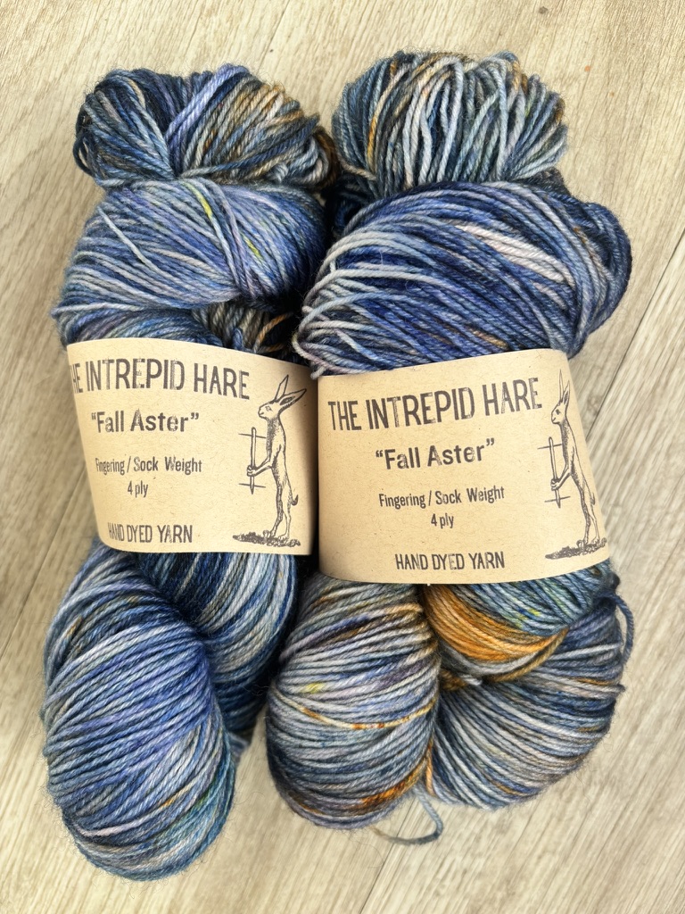 Fall Aster